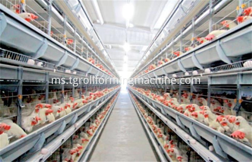 Animal Husbandry Profile Roll Forming Production Line